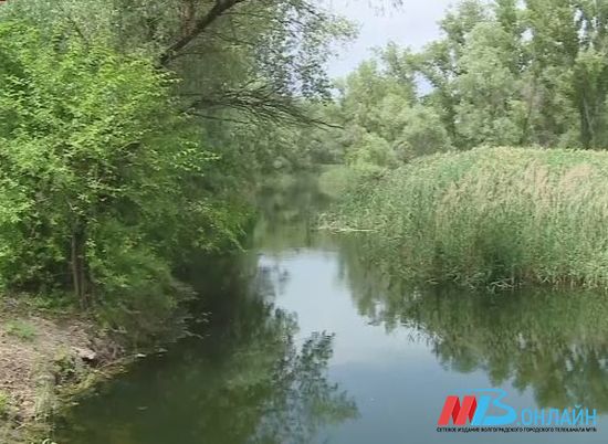 В приоритетный перечень национального проекта «Экология» включены предложения Волгоградской области